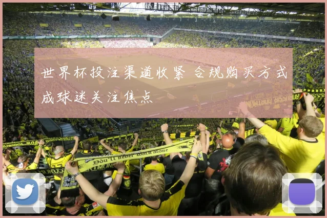 世界杯投注渠道收紧 合规购买方式成球迷关注焦点
