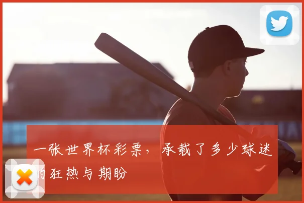 一张世界杯彩票，承载了多少球迷的狂热与期盼