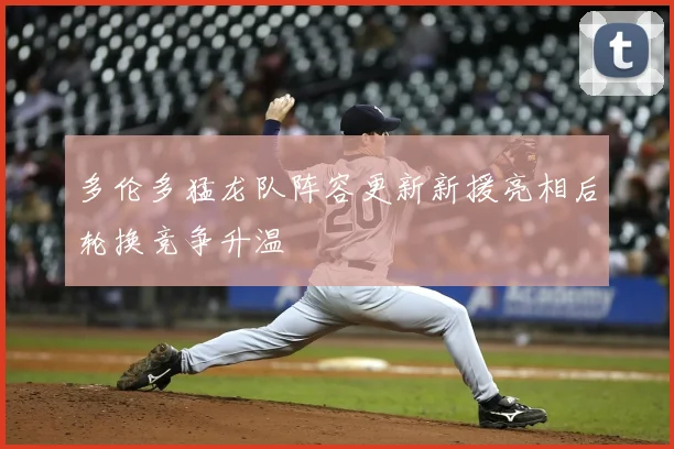 多伦多猛龙队阵容更新新援亮相后轮换竞争升温