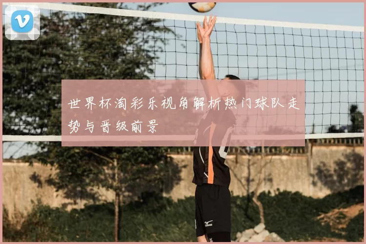 世界杯淘彩乐视角解析热门球队走势与晋级前景