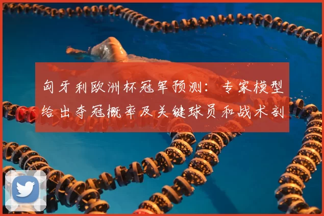 匈牙利欧洲杯冠军预测：专家模型给出夺冠概率及关键球员和战术剖析