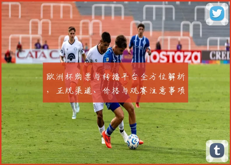 欧洲杯购票与转播平台全方位解析,正规渠道、价格与观赛注意事项