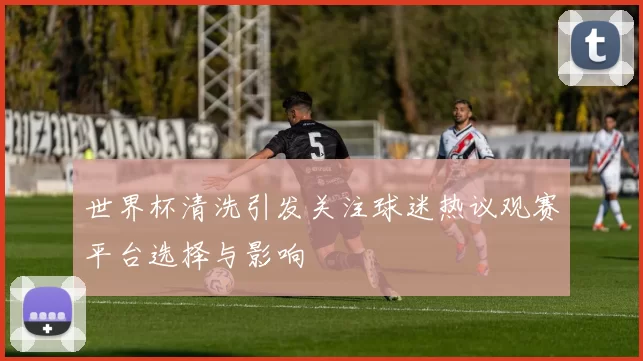 世界杯清洗引发关注球迷热议观赛平台选择与影响